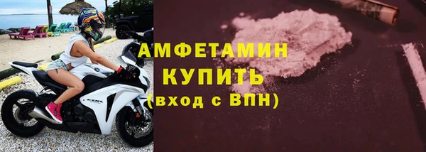 прущие грибы Няндома