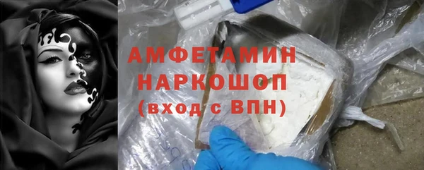 прущие грибы Няндома