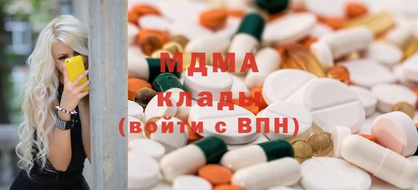 прущие грибы Няндома