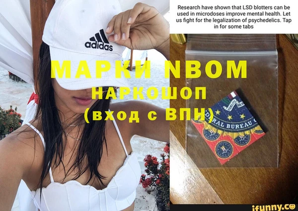 прущие грибы Няндома