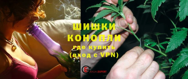 прущие грибы Няндома